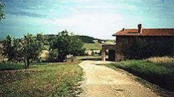 Azienda Agricola Barbi | Toskana - Siena (vilayet) - Pienza