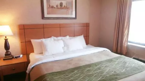 Comfort Inn Kokomo | Indiana - Kokomo (ve civarı) - Kokomo