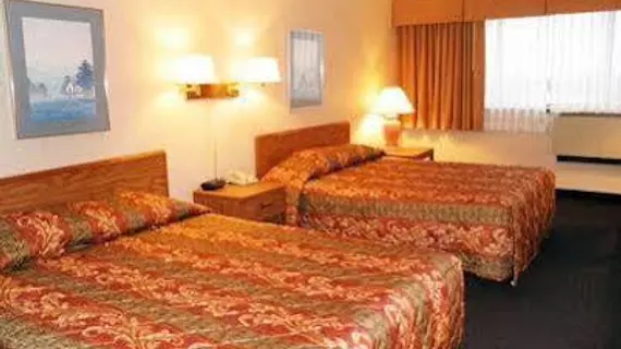 Comfort Inn & Suites Wadsworth | Ohio - Summit İlçesi - Akron (ve civarı) - Wadsworth