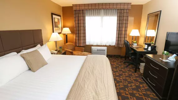 Quality Inn and Suites Denver Stapleton | Kolorado - Denver (ve civarı) - Denver - Northeast Park Hill