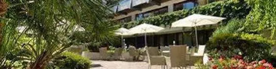 Hotel Alexander | Marche - Pesaro and Urbino (vilayet) - Gabicce Mare