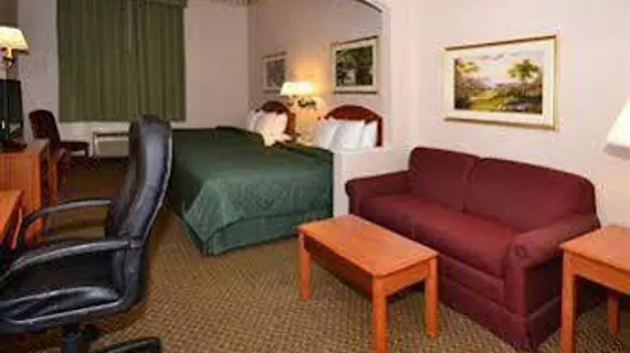 Comfort Inn & Suites Lavale | Maryland - Cumberland (ve civarı) - LaVale