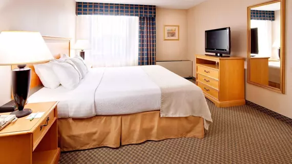 Holiday Inn Auburn-Finger Lakes Region | New York - Syracuse (ve civarı) - Auburn