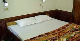 Hotel Chetna & Cottage | Himaşal Pradeş - Manali (ve civarı) - Kullu