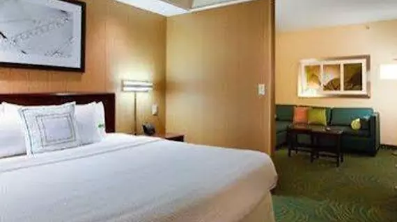 SpringHill Suites by Marriott Savannah I-95 South | Georgia - Savannah (ve civarı) - Savana