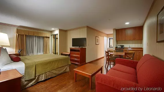 BEST WESTERN PLUS Raffles Inn and Suites | Kaliforniya - Orange County - Anaheim - Anaheim Resort