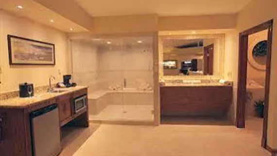 Sybaris Pool Suites Indianapolis | Indiana - Indianapolis (ve civarı) - Indianapolis