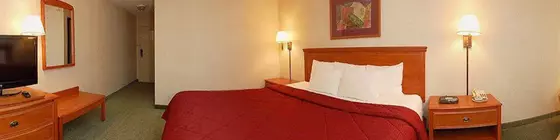 Best Western Plus Roper Mountain Road Inn and Suites | Güney Karolayna - Greenville - Spartanburg (ve civarı) - Greenville