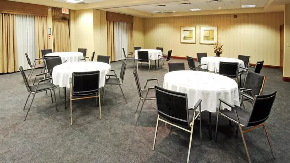 Holiday Inn Express Brampton | Ontario - Toronto (ve civarı) - Brampton - Airport Road Ticaret Bölgesi