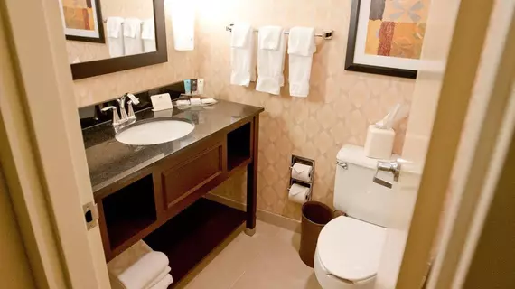 Crowne Plaza Hotel St. Louis Airport | Missouri - St. Louis (ve civarı) - Bridgeton