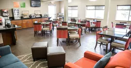 Comfort Inn Gurnee | İllinois - Gurnee