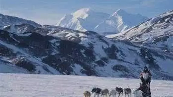 Earthsong Lodge | Alaska - Denali (ve civarı) - Healy