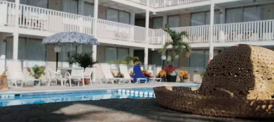 Seabonay Motel | Maryland - Ocean City (ve civarı) - Ocean City