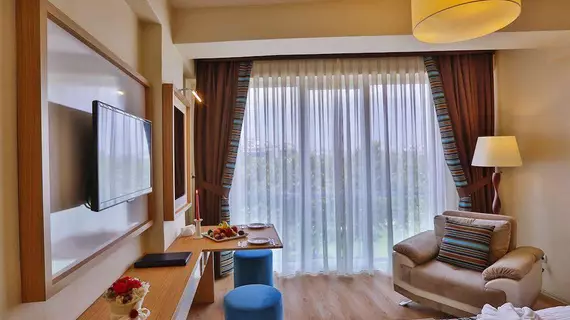 Manesol Suites Golden Horn |  Istanbul  - Beyoğlu - Sütlüce Mahallesi