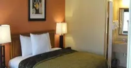 Red Roof Inn Arlington - Entertainment District | Teksas - Dallas (ve civarı) - Arlington