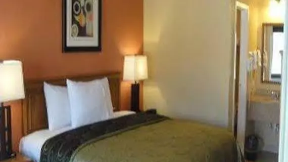 Red Roof Inn Arlington - Entertainment District | Teksas - Dallas (ve civarı) - Arlington