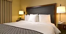 Homewood Suites by Hilton Plano-Richardson | Teksas - Dallas (ve civarı) - Plano