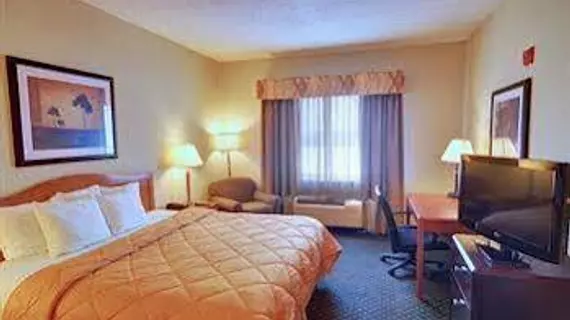 Comfort Inn DFW Airport North | Teksas - Dallas (ve civarı) - Irving