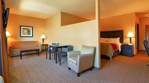 Comfort Inn & Suites Scottsboro | Alabama - Scottsboro (ve civarı) - Scottsboro