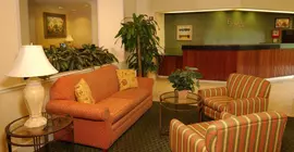 Fairfield Inn Orlando Airport | Florida - Orlando (ve civarı) - Orlando