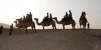 Negev Camel Ranch