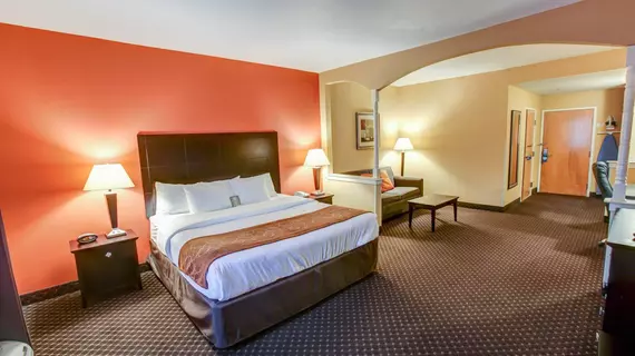 Comfort Suites At Rivergate Mall | Tennessee - Nashville-Davidson - Nashville (ve civarı) - Goodlettsville