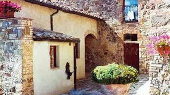 Piombaia | Toskana - Siena (vilayet) - Montalcino