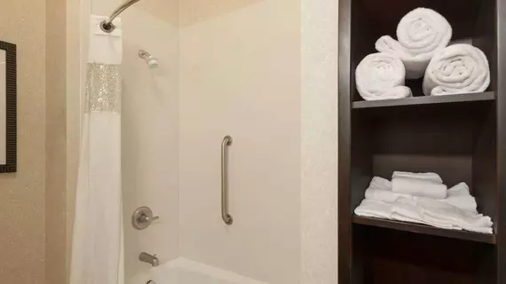 Hampton Inn Detroit Roseville | Michigan - Detroit (ve civarı) - Clinton Township