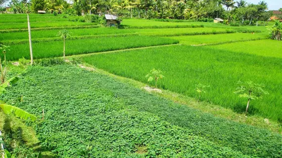 Panorama Ubud Private Villa | Bali - Ubud - Kedewatan