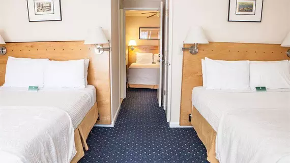 Hotel Stratford | Kaliforniya - San Fransisko (ve civarı) - San Francisco - Downtown San Francisco