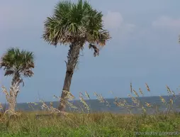 Holiday Inn Express Saint Simons Island | Georgia - Brunswick (ve civarı) - St. Simons Island