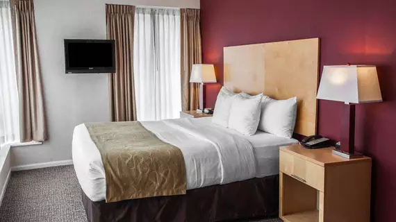 Comfort Suites Michigan Avenue | İllinois - Chicago (ve civarı) - Chicago - The Loop