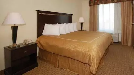 Comfort Suites Jonesboro | Arkansas - Jonesboro (ve civarı) - Jonesboro