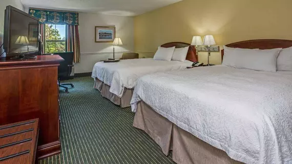 Hampton Inn Pawleys Island | Güney Karolayna - Myrtle Plajı (ve civarı) - Pawleys Island