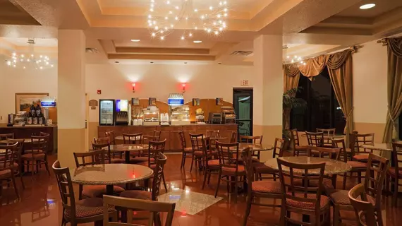 Holiday Inn Express Hotel & Suites Tampa Stadium-Airport | Florida - Tampa (ve civarı) - Tampa