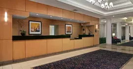 Hilton Suites Atlanta Perimeter | Georgia - Atlanta (ve civarı) - Atlanta - Sandy Springs