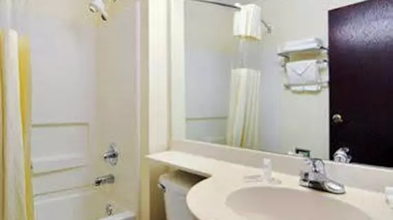 Microtel Inn & Suites by Wyndham Atlanta Airport | Georgia - Atlanta (ve civarı) - College Park