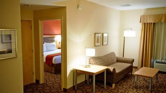 Holiday Inn Express Fremont - Milpitas Central | Kaliforniya - Fremont