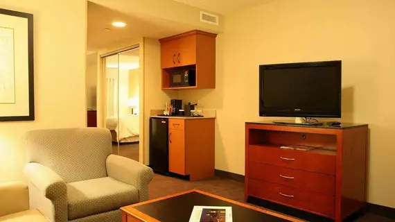 Hilton Garden Inn Louisville Airport | Kentucky - Louisville (ve civarı) - Louisville