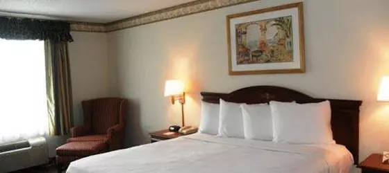 Country Inn & Suites by Radisson, Novi, MI | Michigan - Detroit (ve civarı) - Novi