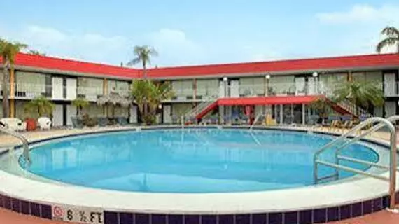 Express Inn & Suites Clearwater | Florida - St. Petersburg - Clearwater (ve civarı) - Clearwater