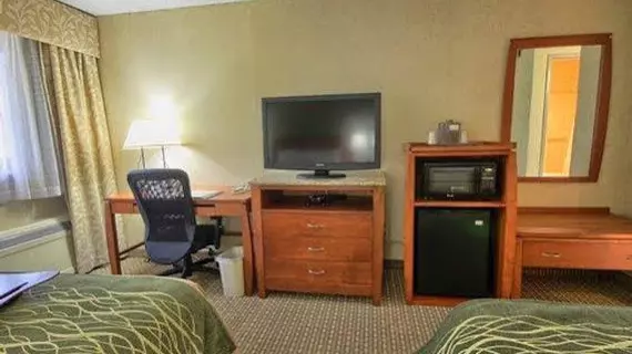 Comfort Inn Near Greenfield Village | Michigan - Detroit (ve civarı) - Dearborn