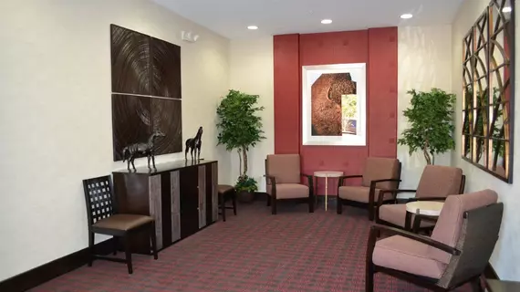 Holiday Inn Express Hotel and Suites Duncan | Oklahoma - Duncan