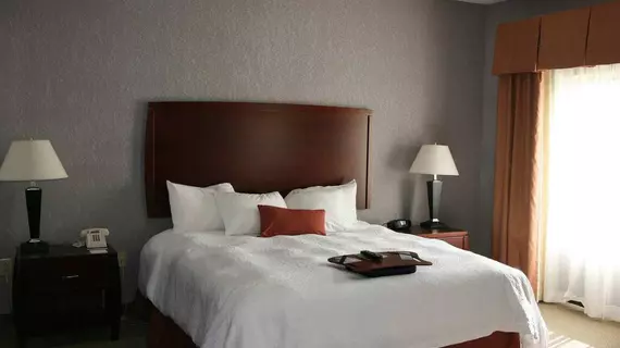 Hampton Inn and Suites Indianapolis/Brownsburg | Indiana - Indianapolis (ve civarı) - Brownsburg