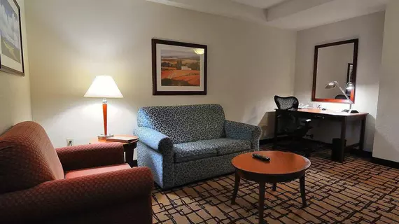 Hilton Garden Inn Atlanta Northwest/Wildwood | Georgia - Atlanta (ve civarı) - Atlanta