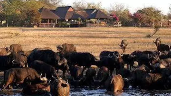 Nkorho Bush Lodge | Mpumalanga - Mbombela - Kruger National Park