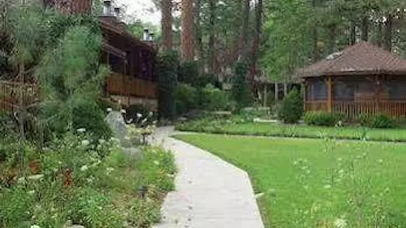 Shadow Mountain Lodge and Cabins | New Mexico - Ruidoso (ve civarı) - Ruidoso