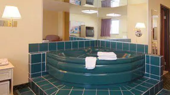 Quality Inn and Suites | Michigan - Detroit (ve civarı) - Romulus