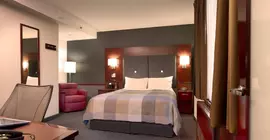 Radisson Hotel New York Midtown-Fifth Avenue | New York - New York (ve civarı) - Manhattan - Midtown