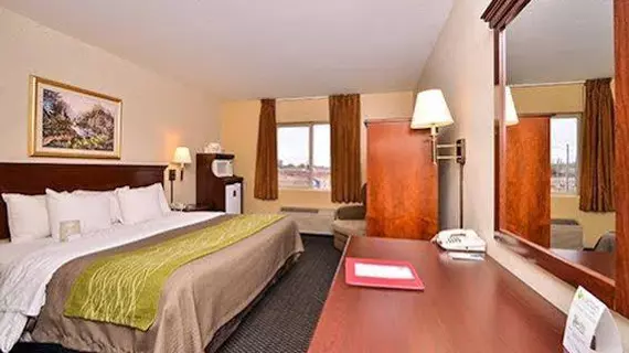 Comfort Inn Garden City | Kansas - Dodge City (ve civarı) - Garden City